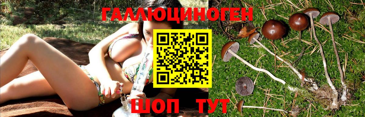 Галлюциногенные грибы GOLDEN TEACHER  Вход с VPN  где продают наркотики  Семёнов 